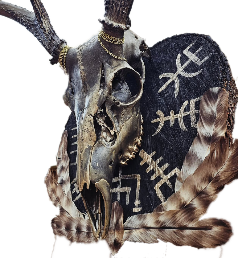 Dark skull display with antlers, feathers, chain detail, and hand-marked wood backing.